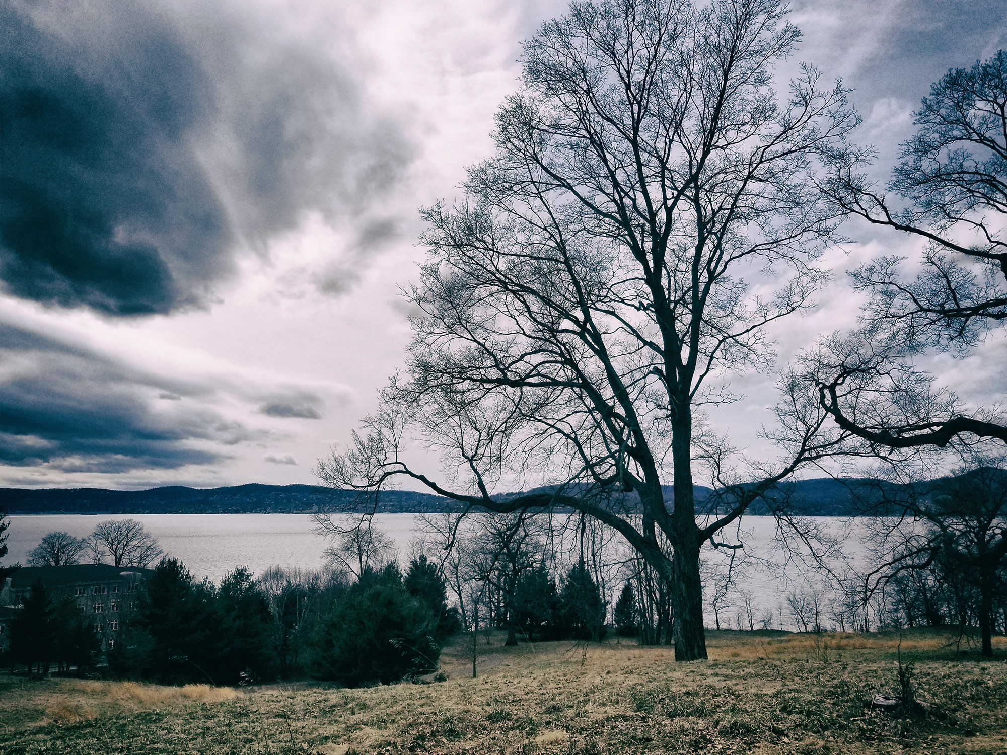 tree overlooking the hudson river ©2018 bret wills