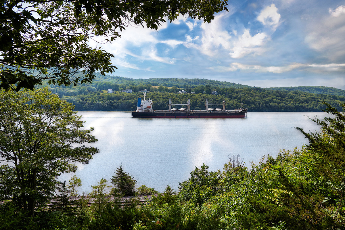 tuxedo ©2024 by bret wills