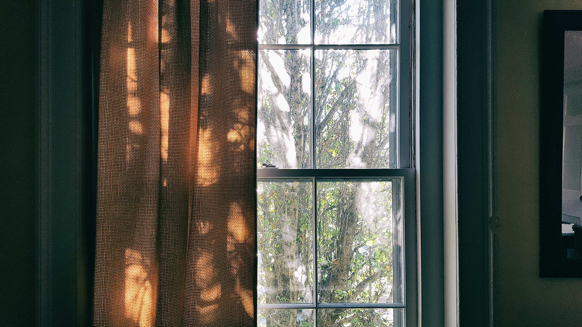 window ©2017 bret wills
