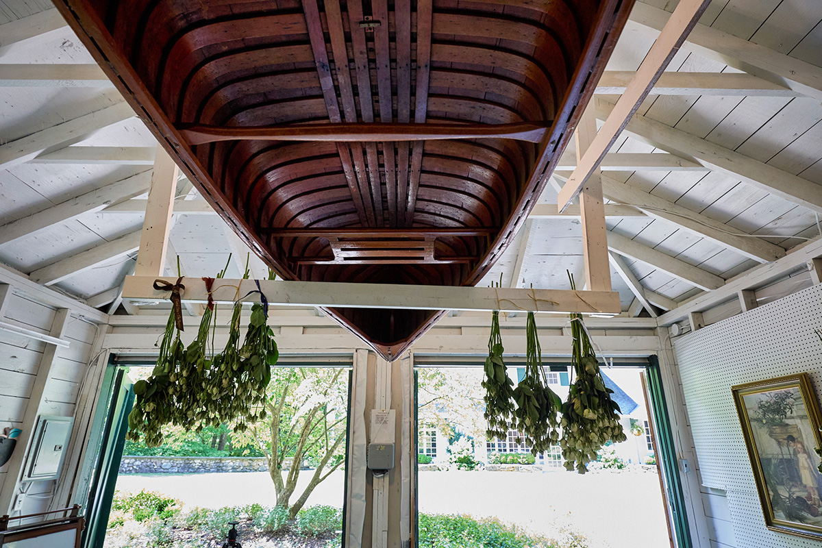 pool photo ©2025 bret wills