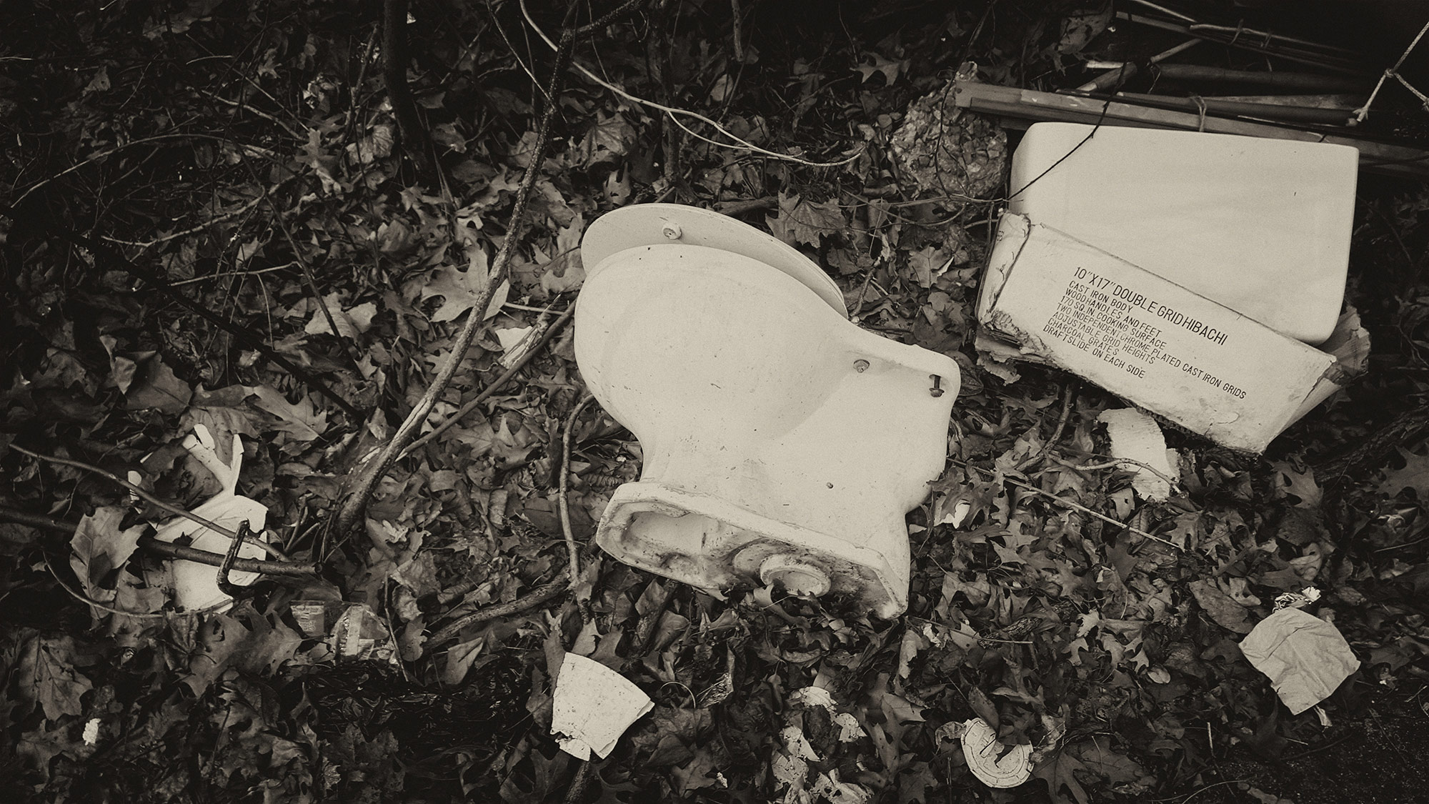  Toilet, Bronx NY ©2017 bret wills