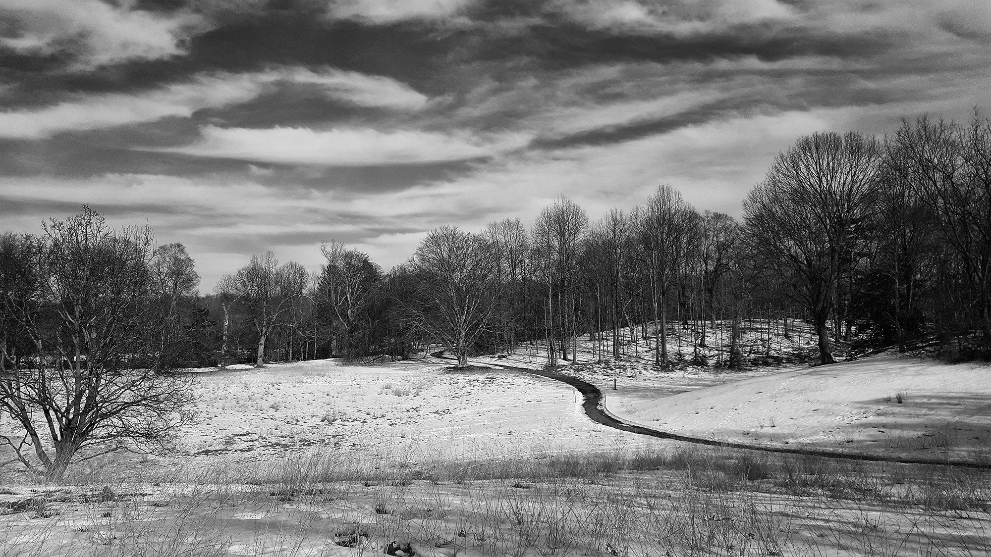 Rockefeller Preserve ©2017 bret wills