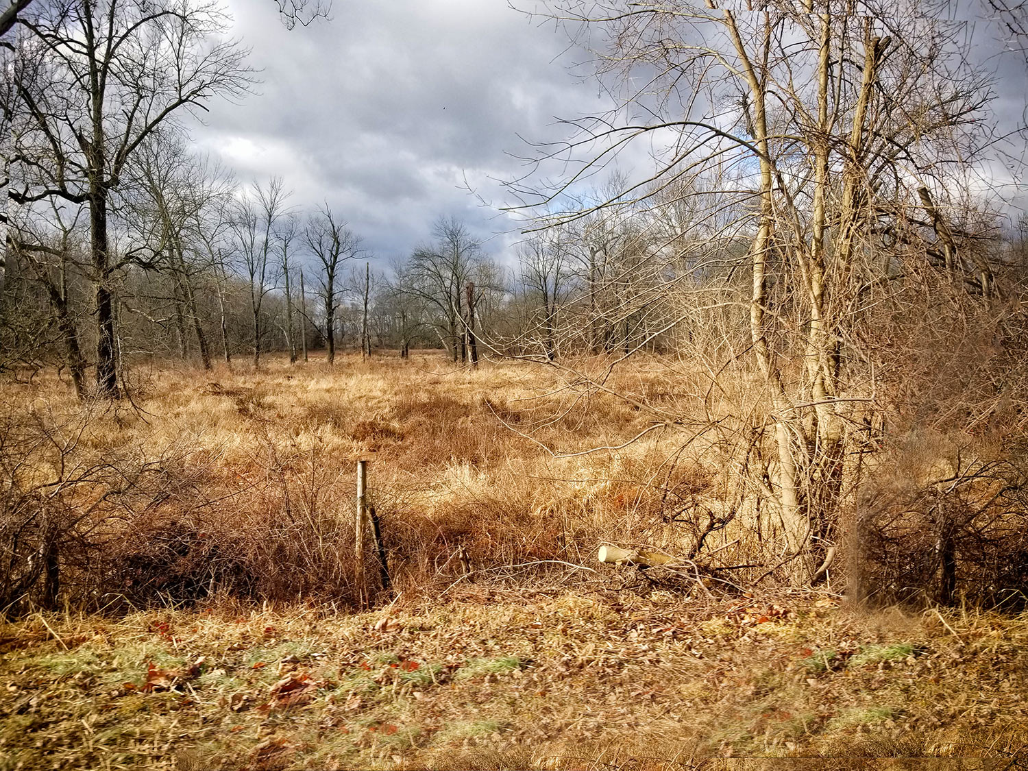Winter field ©2021 by bret wills