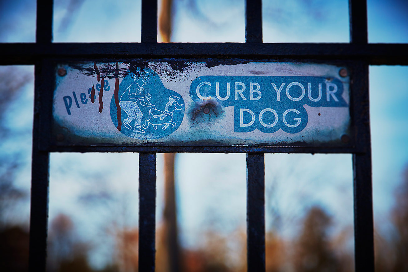 bronx ©2014 bret wills