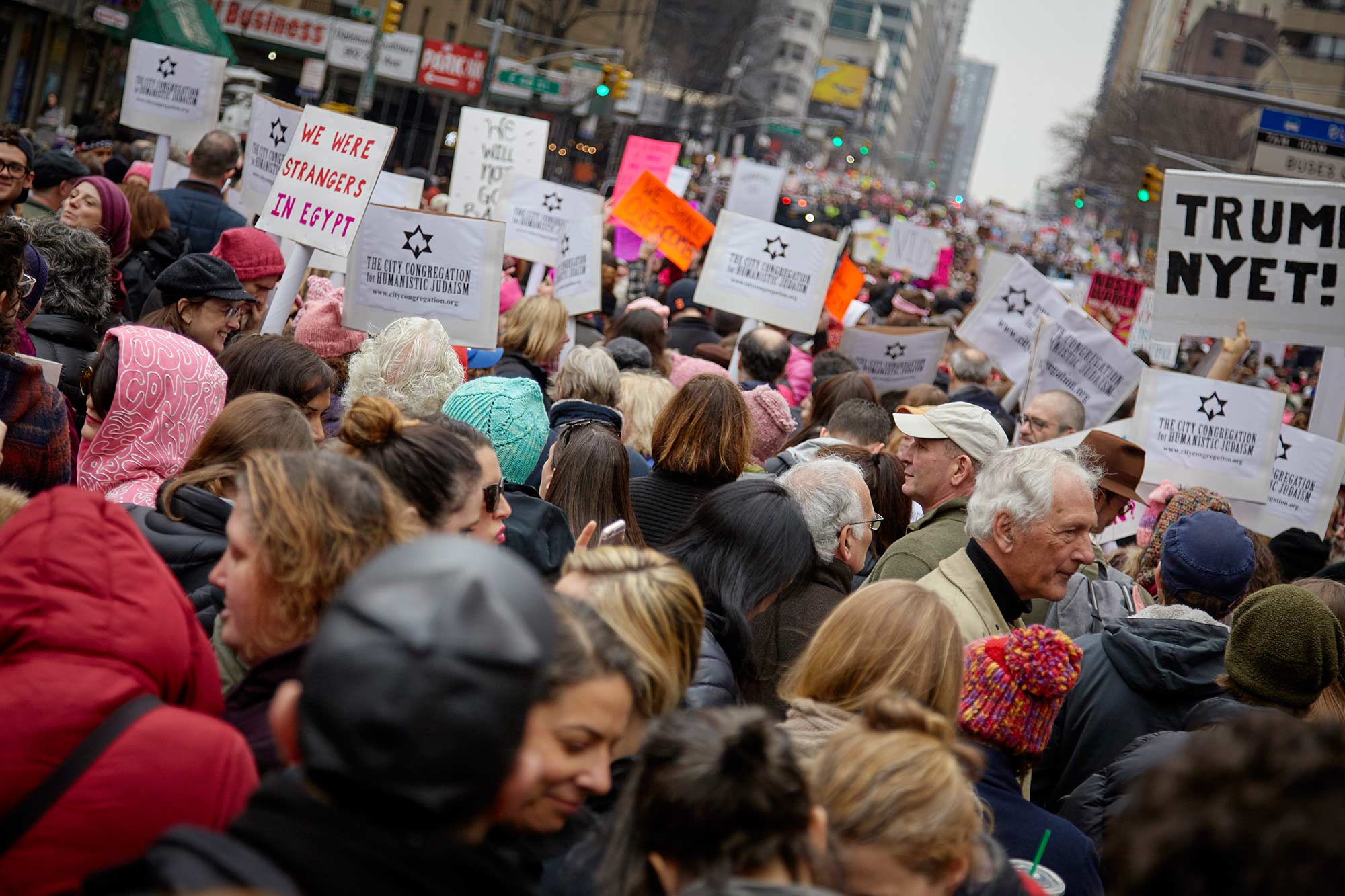 Sleepy Hollow NY protest ©2017 bret wills