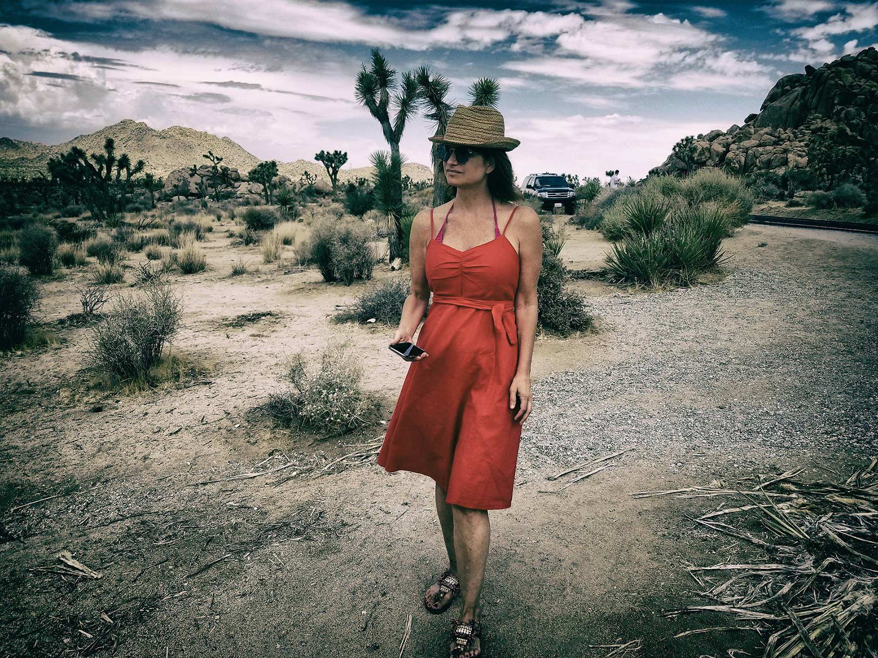 Joshua Tree ©2018 by bret wills