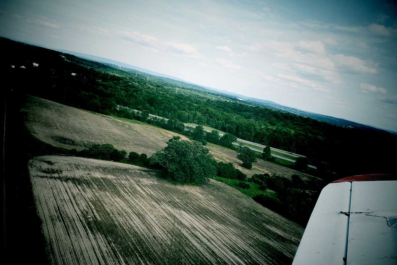 cornfield photo