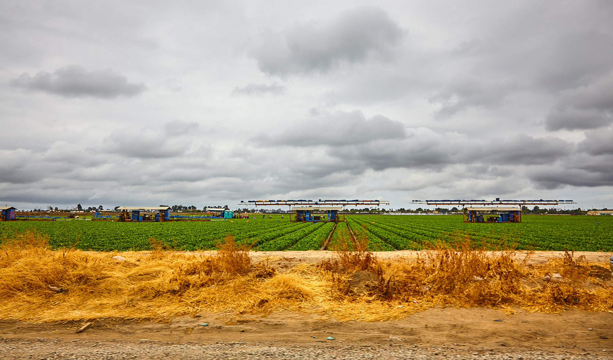   field workers farm ©2018 by bret wills