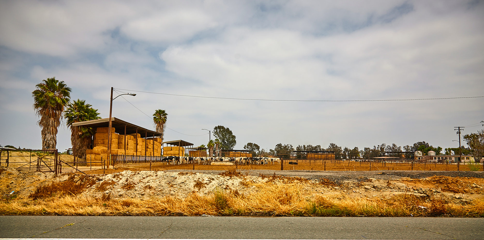  stockyards chino ca ©2018 by bret wills