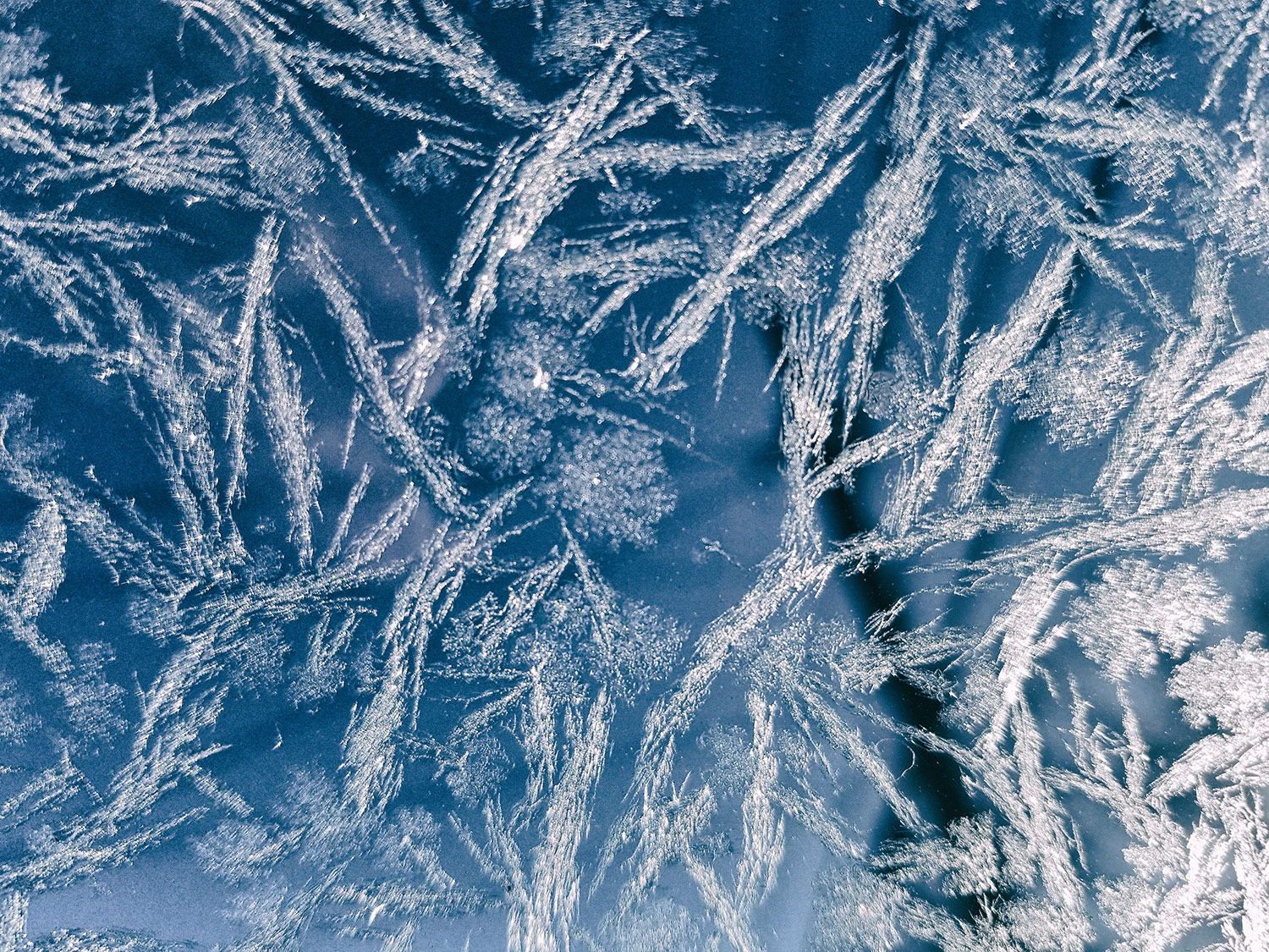 ice ©2018 by bret wills