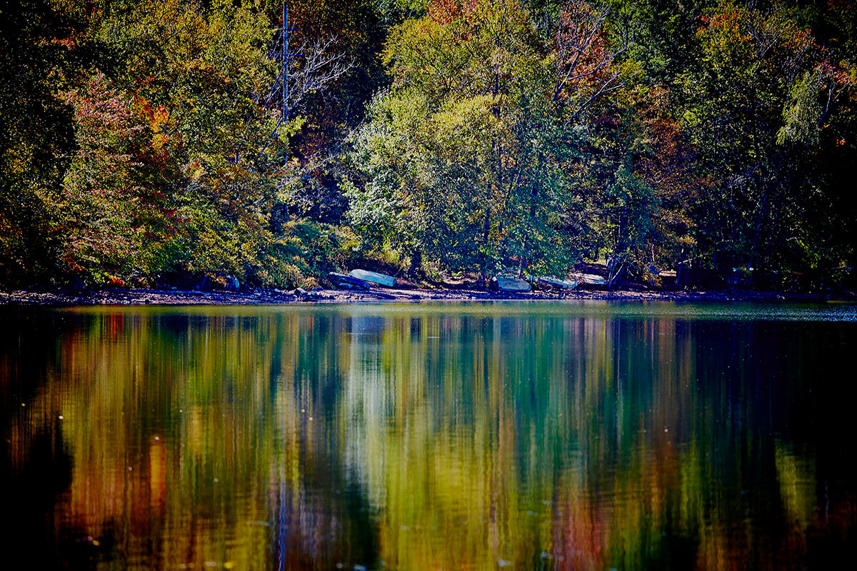 shoreline © 2014 bret wills