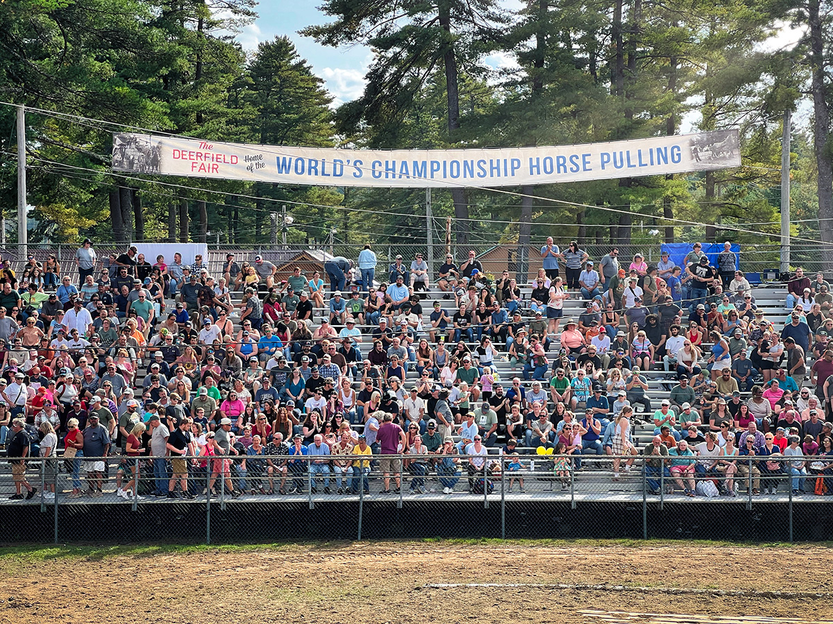 Ramsey ©20245 by bret wills