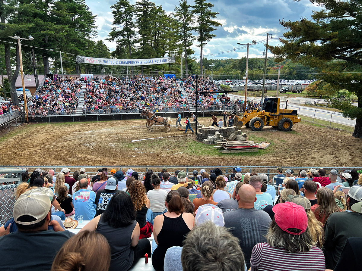 sunrise memphis ©2025 by bret wills