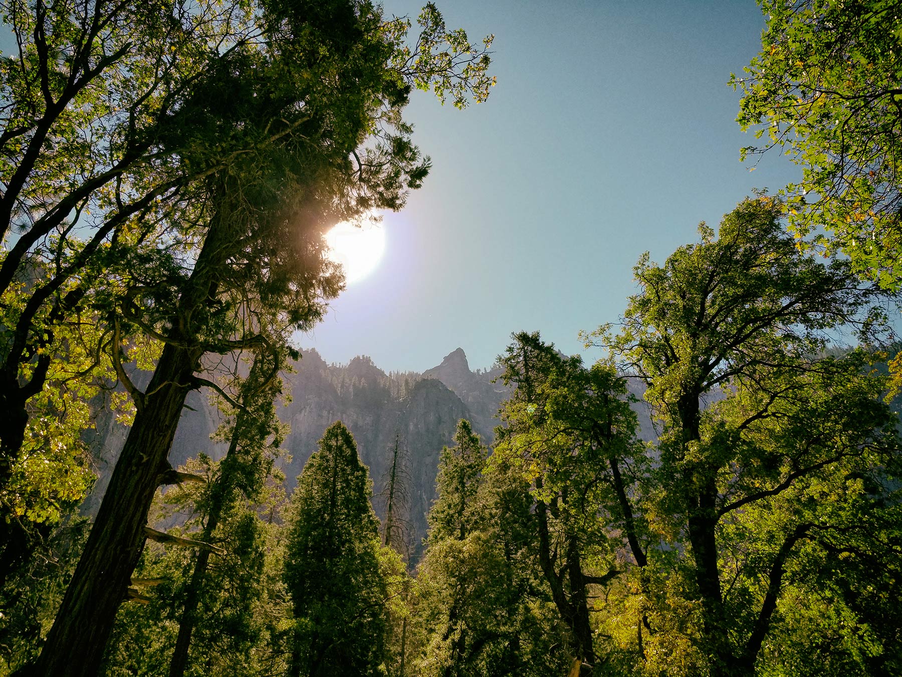 On the Valley Floor ©2018 by bret wills