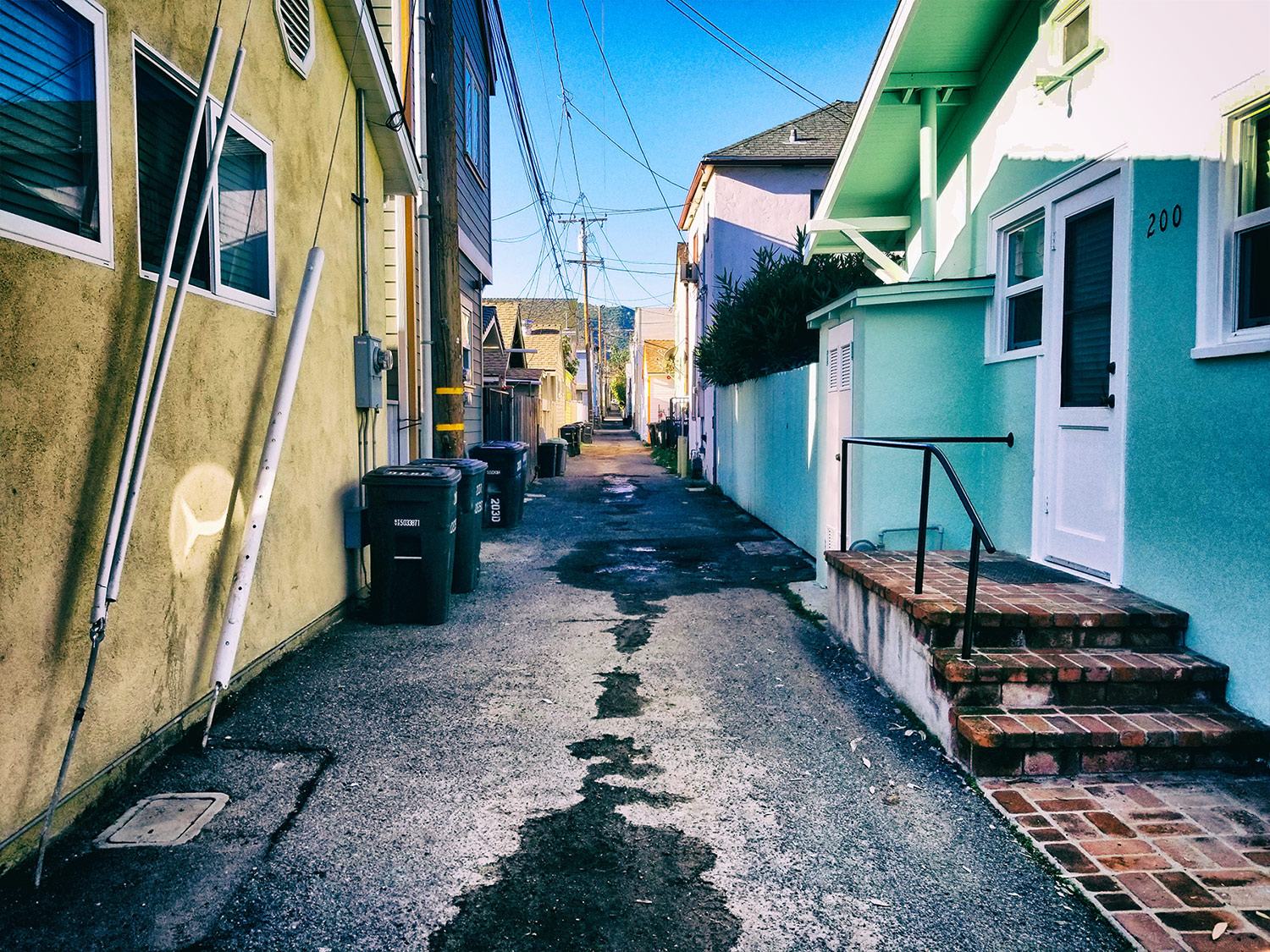 catalina ©2019 by bret wills