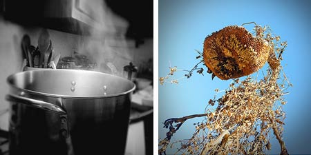 new work by bret wills