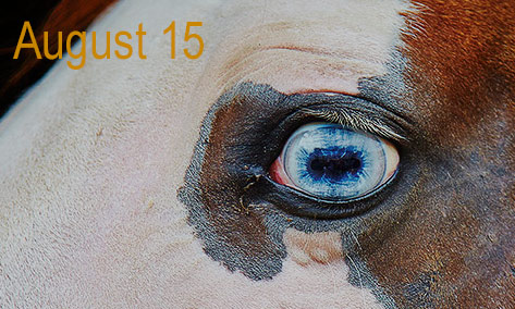 august new work